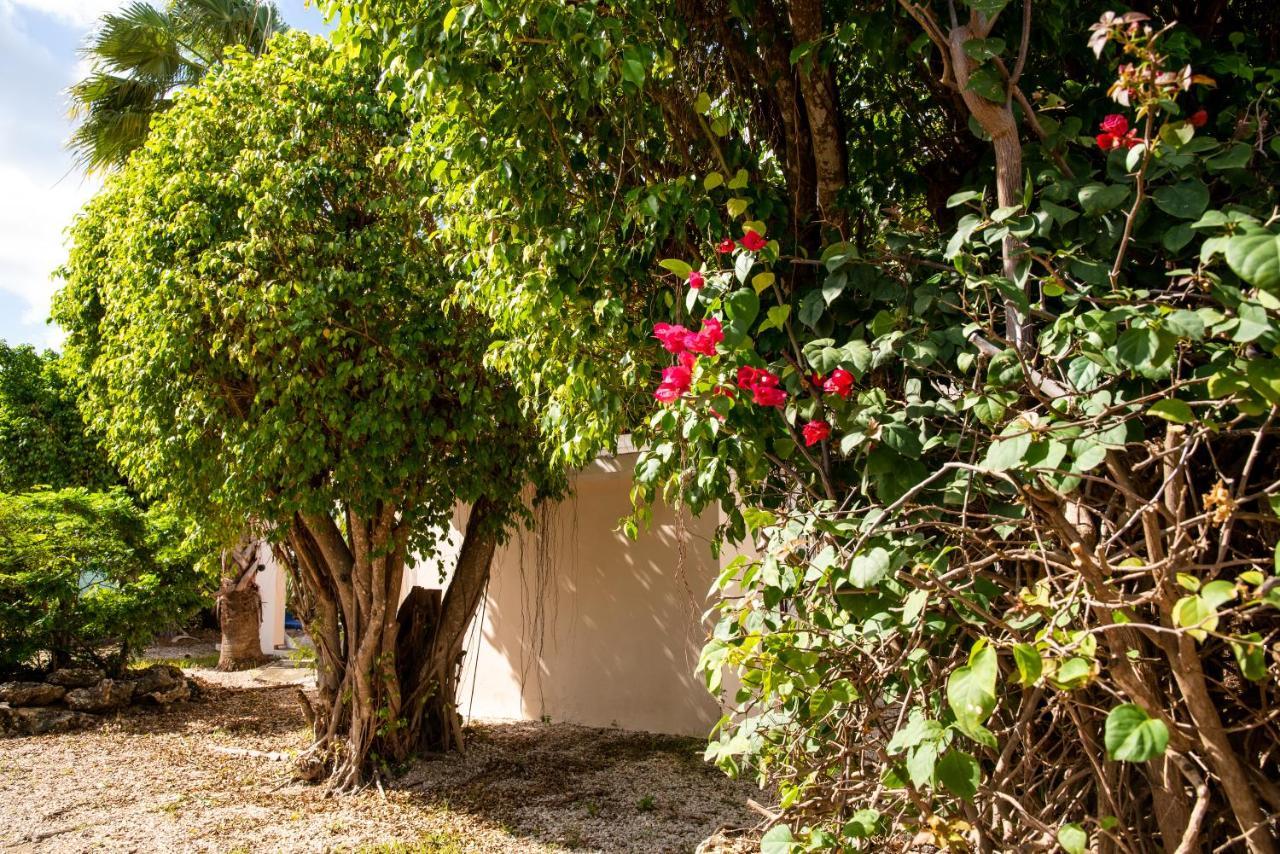 Hamlet Oasis Resort Kralendijk Exterior foto