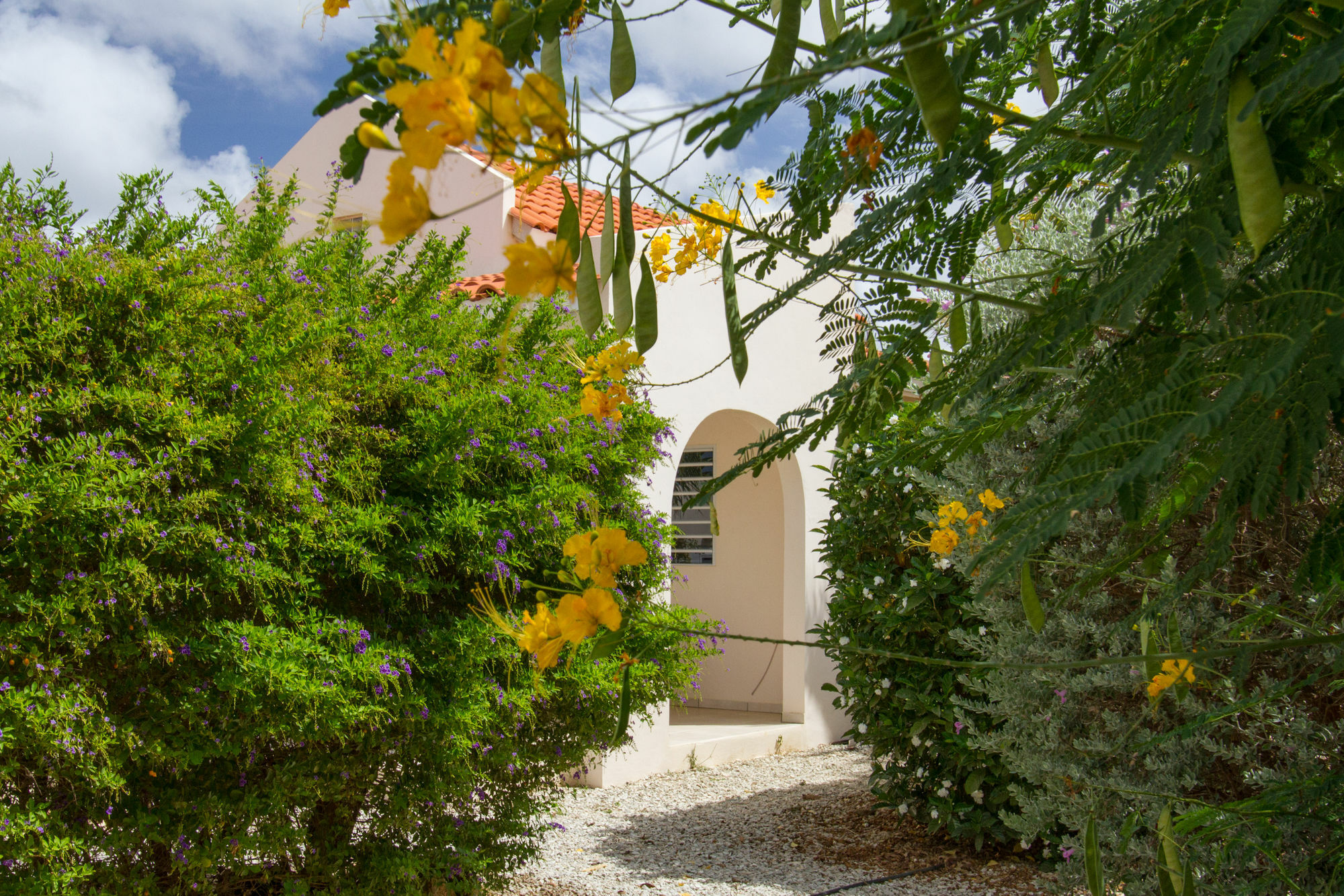 Hamlet Oasis Resort Kralendijk Exterior foto
